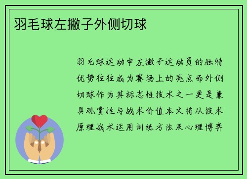 羽毛球左撇子外侧切球