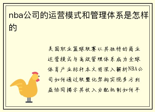 nba公司的运营模式和管理体系是怎样的